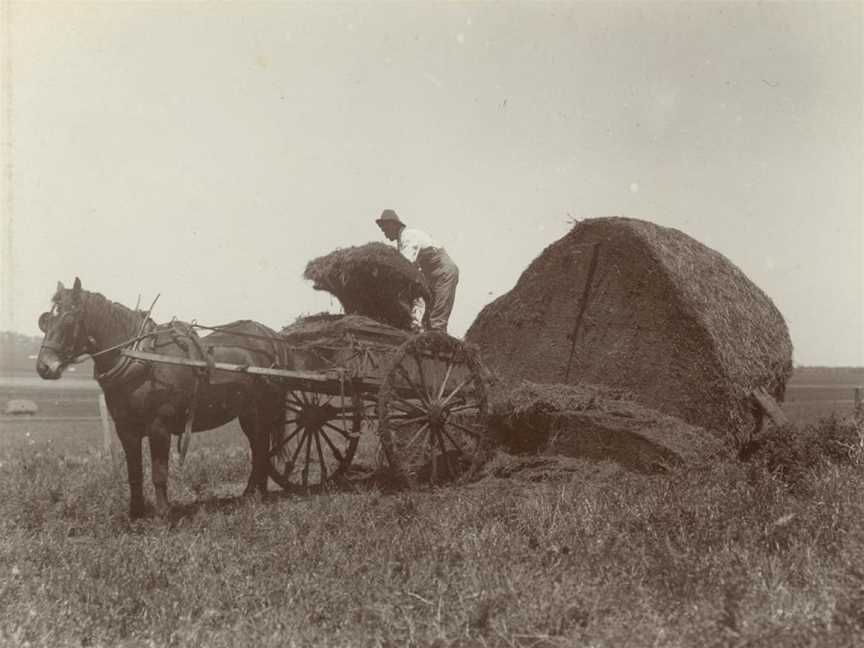 StateLibQld 1 255177 Loading hay onto the wagon, Kingsthorpe District, ca. 1902.jpg