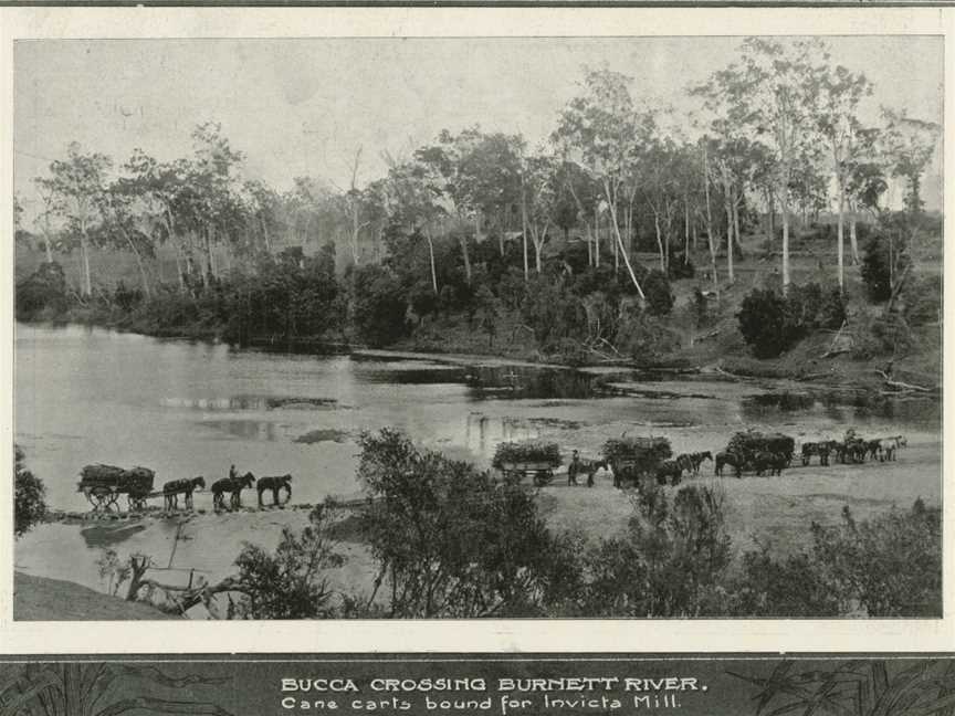 Bucca Crossing, Burnett River, Cane carts bound for Invicta Mill, 1919.jpg