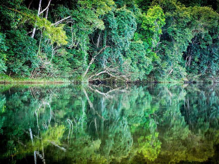 Mulgrave River at Goldsborough Valley - panoramio.jpg