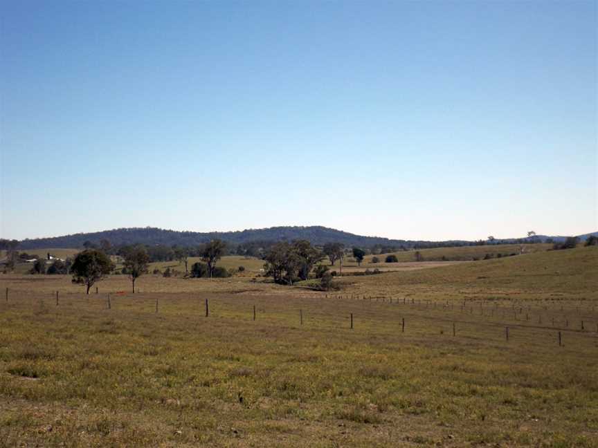 Paddocks at Boyland.jpg