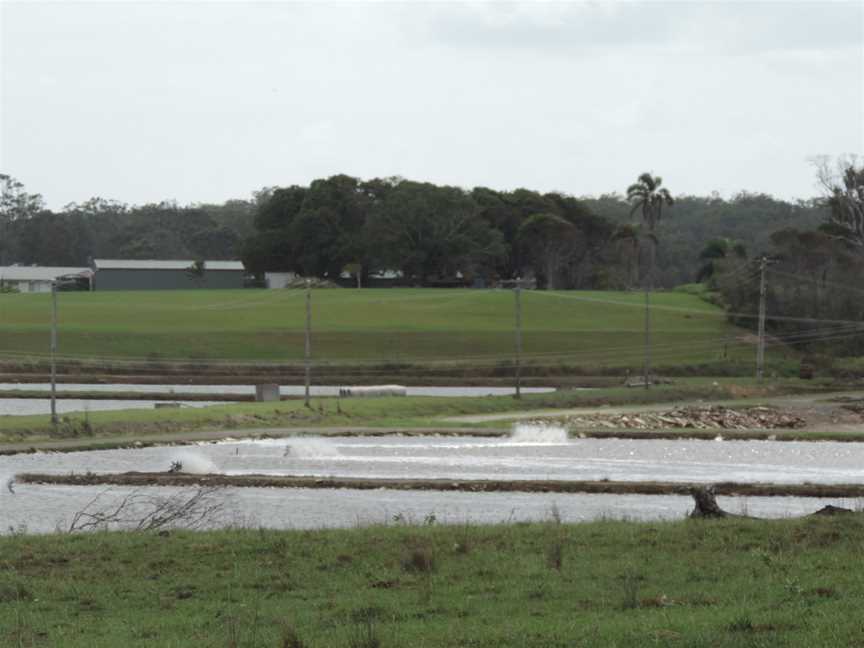 Prawnfarming CAlberton C2014