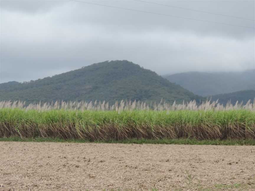 View across sugar cane fields towards the mountains, Carmila, 2016.jpg