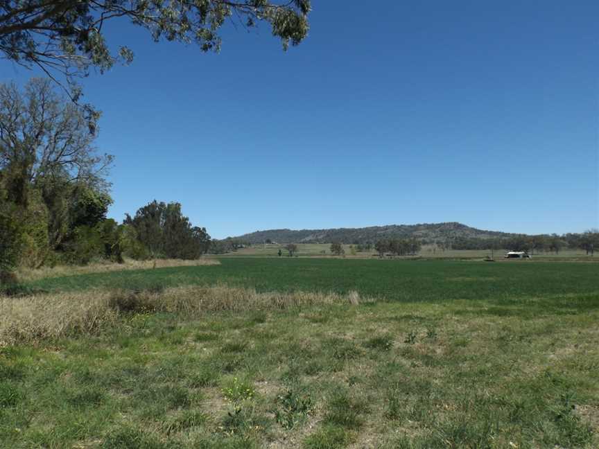 Paddocks at Kerry by Albert River.jpg