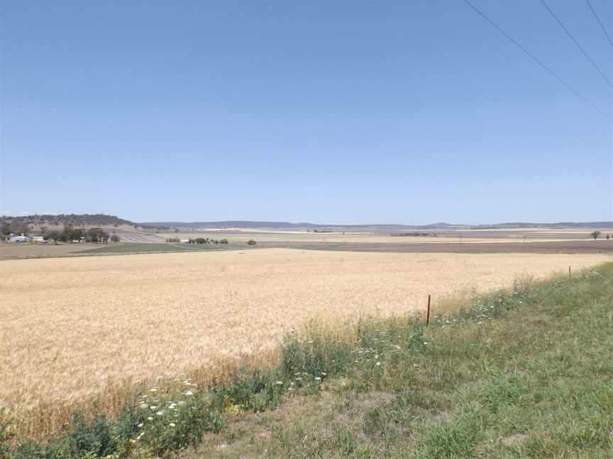 Fields at Felton 2.jpg