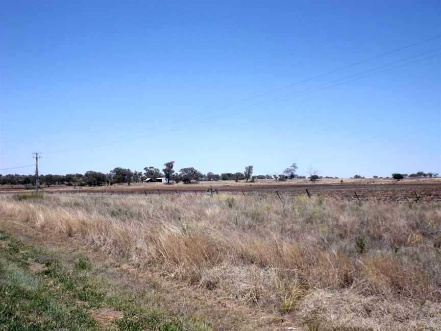 Fields at Aubigny.jpg