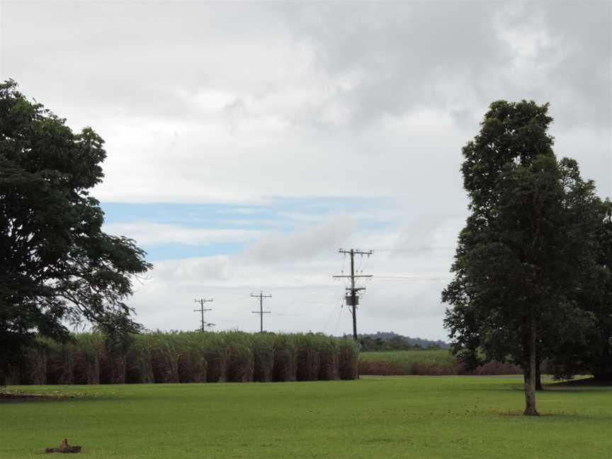 Sugarcanefarming CBellenden Ker Road CBellenden Ker C2018