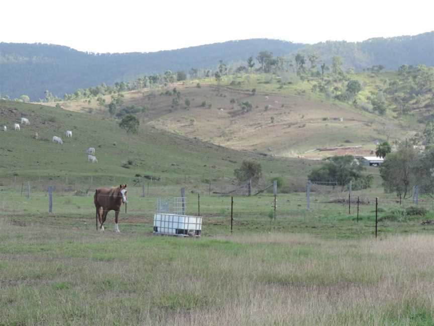 Rural landscape, Mount Chalmers, 2016.jpg