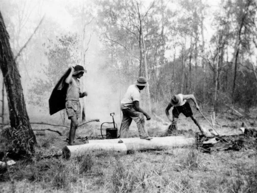 State Lib Qld2136158 Firefightinginthe Goovigendistrict CQueensland C1952