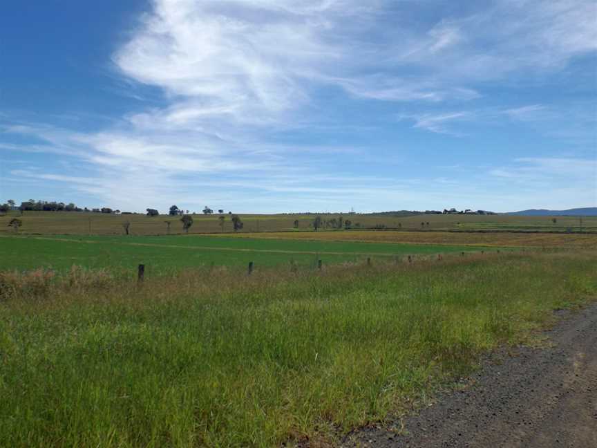 Fields along Stokes Crossing Road Lower Mount Walker.jpg