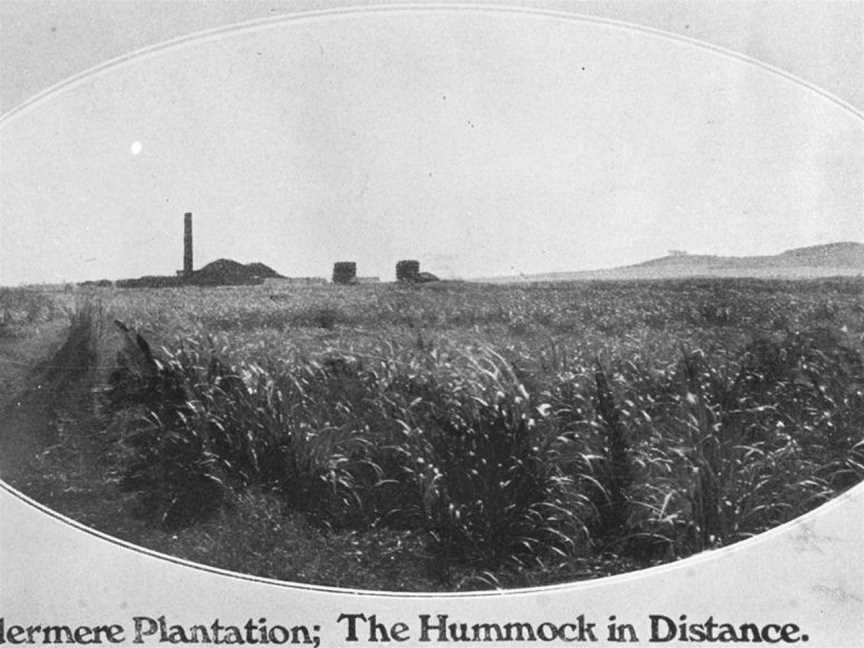 StateLibQld 2 395625 Windermere Mill with the Hummock in the background, 1907.jpg