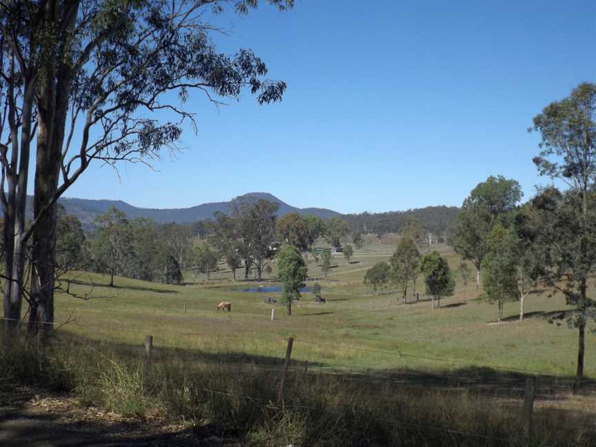 Paddocks at Biddaddaba.jpg