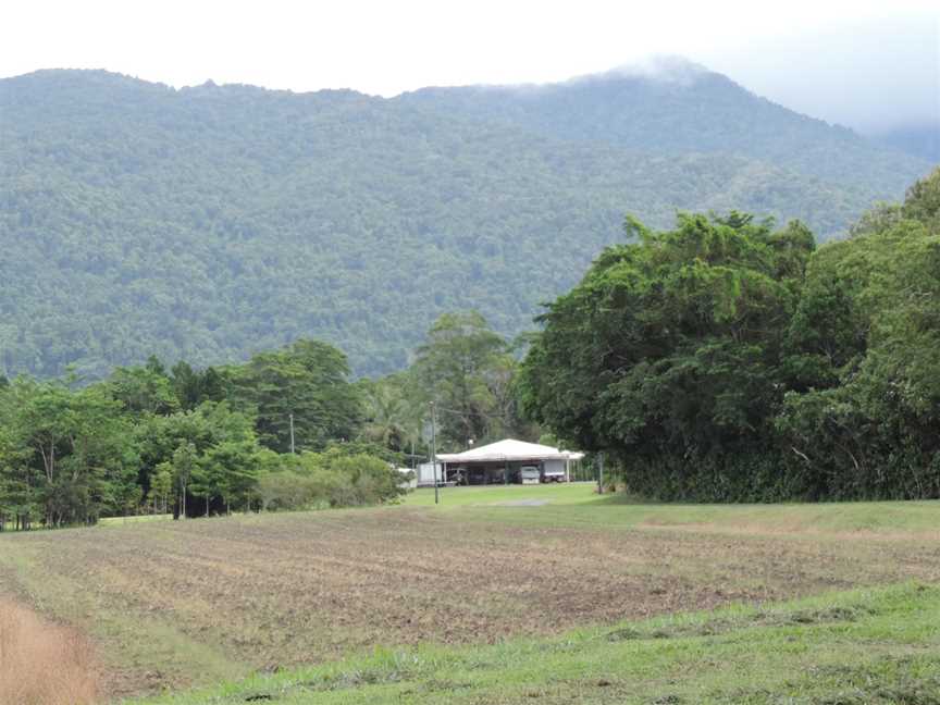 Farm with Bellenden Ker Range in the background, Fishery Falls, 2018.jpg