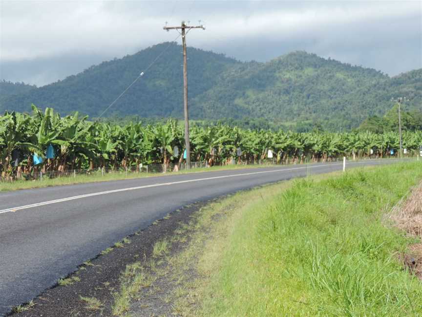 Bananafarmingalong Woopen Creek Road CWoopen Creek C2018