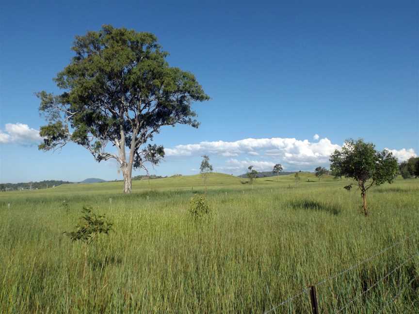 Fields along Markwell Creek Road at Cryna, Queensland 2.jpg