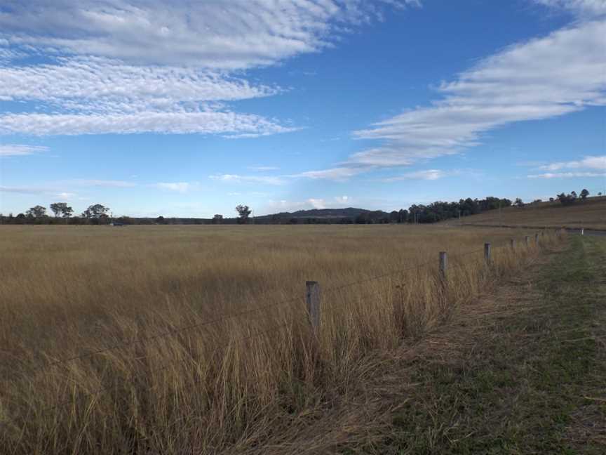 Fields 2 at Mount Mort, Queensland.jpg