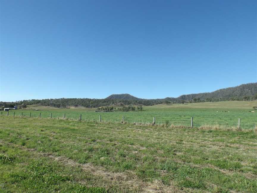 Paddocks at Christmas Creek.jpg