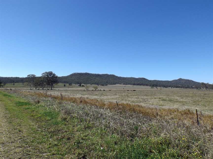 Paddocks at Tabragalba.jpg