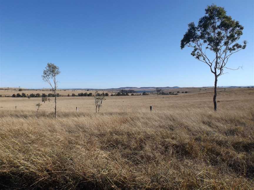 Paddocks Bryden Queensland.jpg