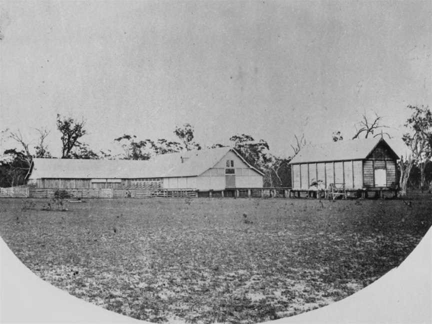 State Lib Qld1153323 Woolshedat Western Creek Station CQueensland Cca.1875