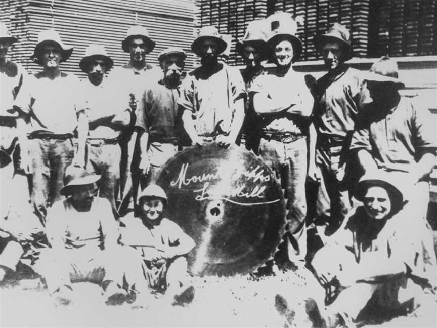 State Lib Qld1151787 Workersfromthe Mount Gipps Sawmillinsouthern Queensland Cca.1925