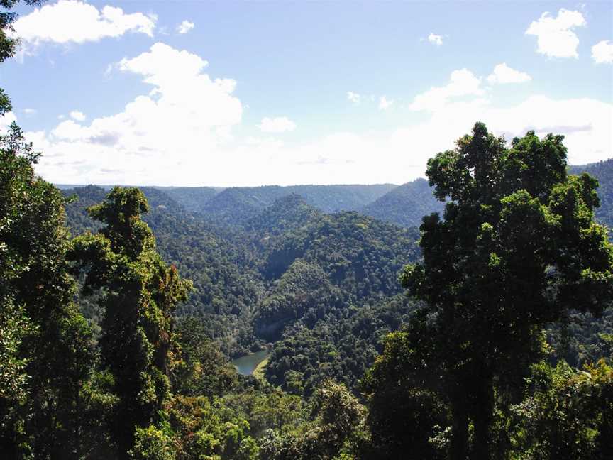 Wooroonoon Park( Mamu Skywalk)promenadeàhauteurdelacanopéedela Rain Forest