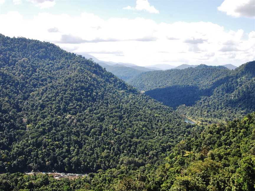 Wooroonoon Park( Mamu Skywalk)promenadeàhauteurdelacanopéedela Rain Forestetvuesurla Johnstone River