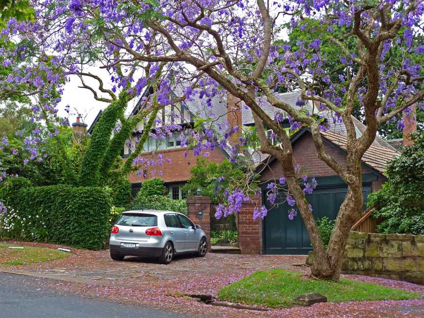 26 Springdale Road, Killara, New South Wales (2010-12-04) 01.jpg
