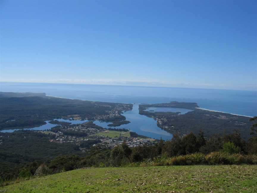 Laurieton, NSW from North Brother Lookout.jpg
