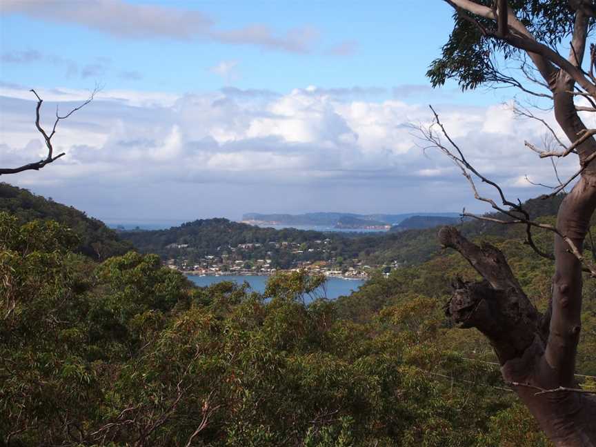 Koolewong Ridge - panoramio (21).jpg