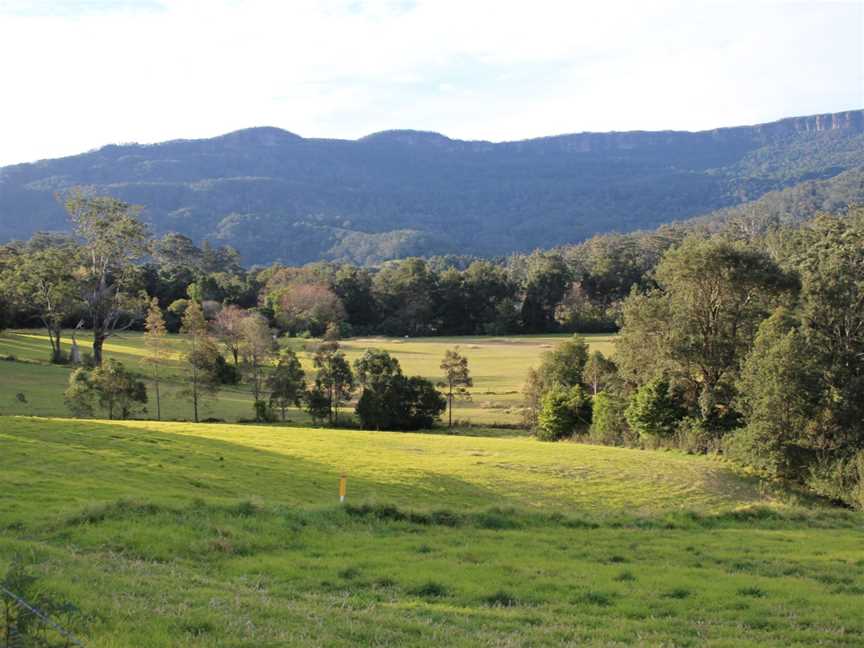 Broughton Vale, New South Wales, escarpment 1.jpg