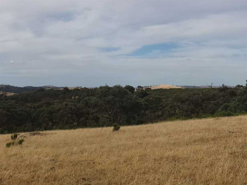 Bevendale( Koroullah) Panorama