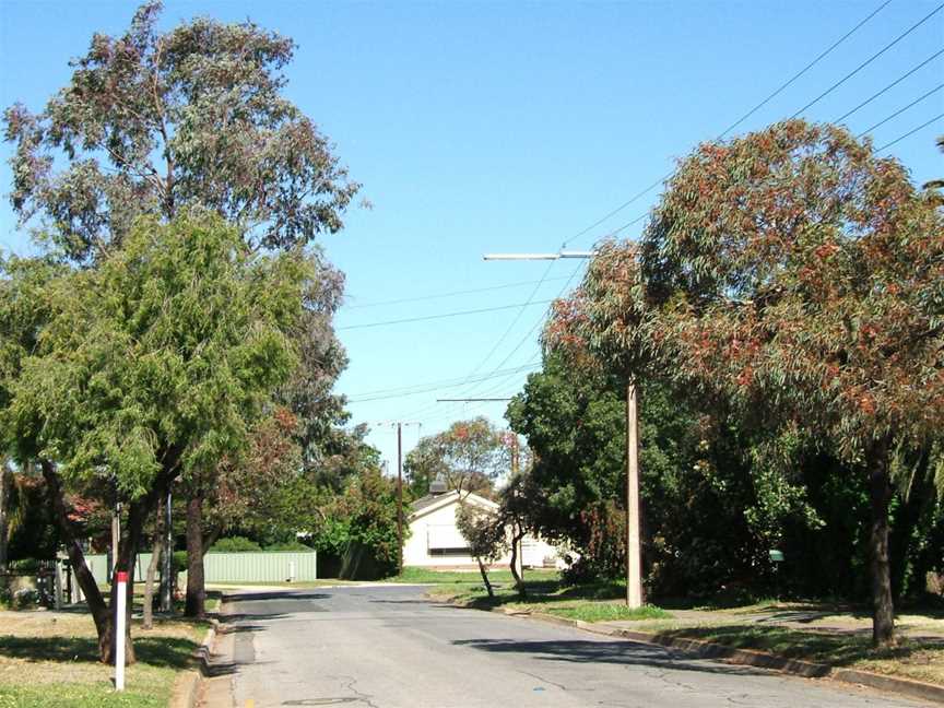 Parafield gardens.jpg