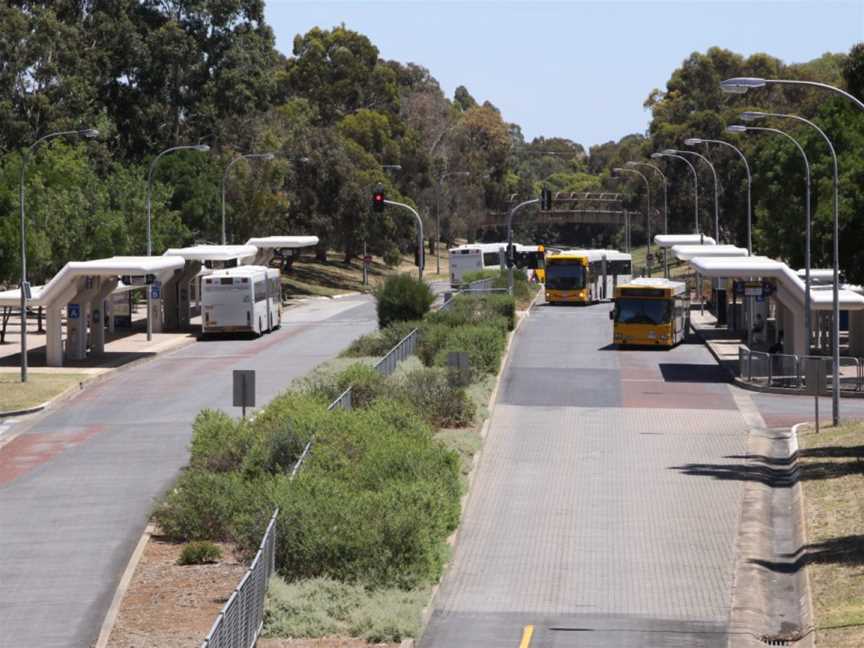 Paradise Interchange, O-Bahn Busway, Adelaide.jpg