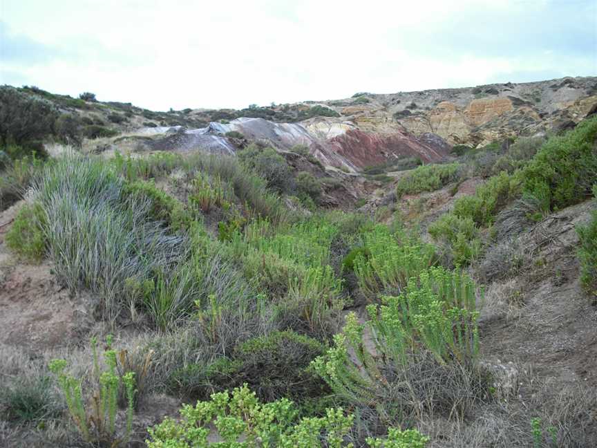 Ochre Point0859