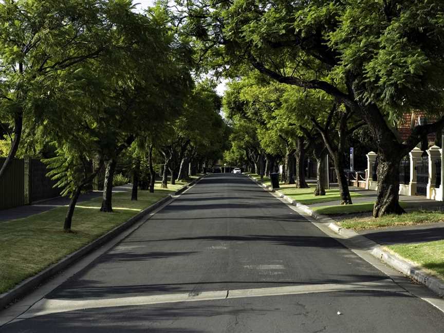 Toorak Gardens Street