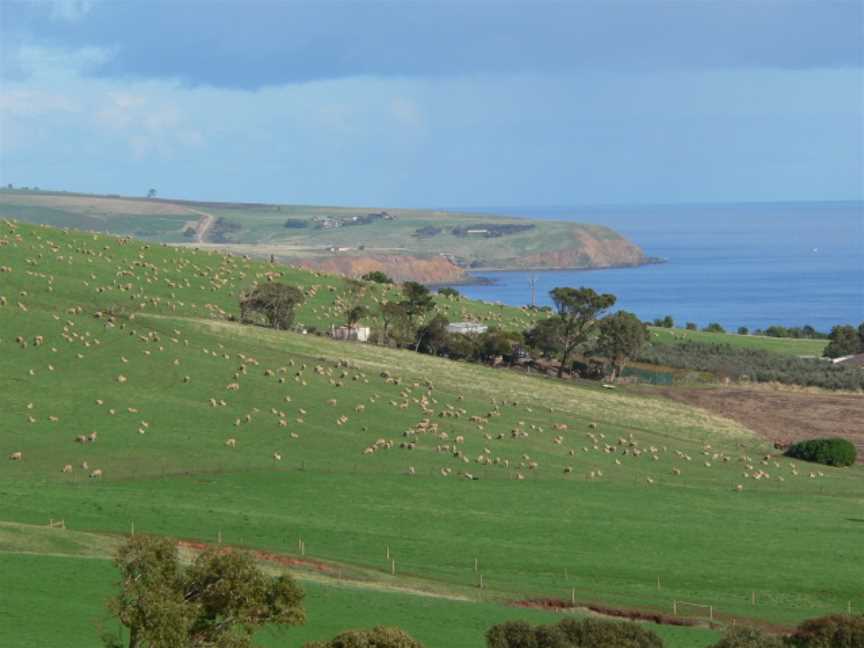 Myponga Beach area.JPG