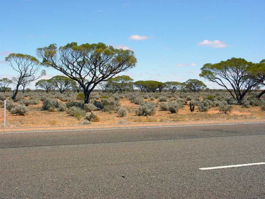 Glendambo - panoramio.jpg