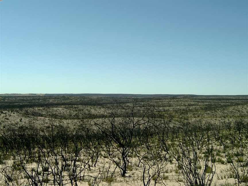 Ngarkat Conservation Park Tyms Lookout.jpg