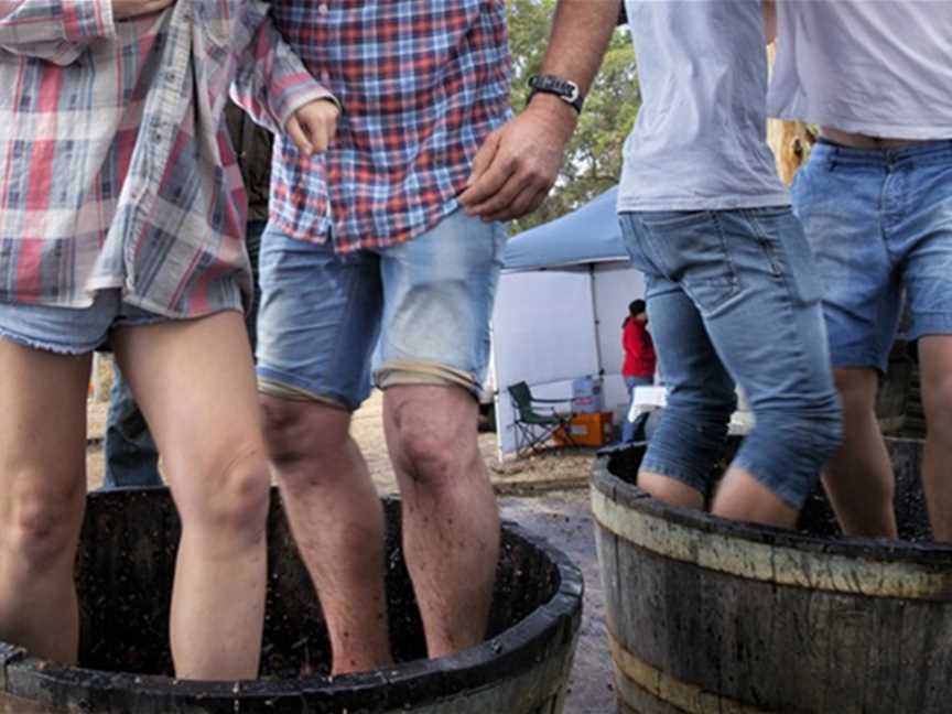 Porongurup Wine Festival, Events in Porongurup