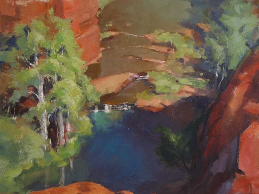 Overlooking Dales Gorge