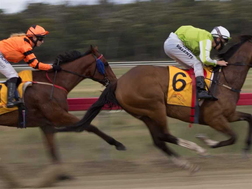 Collie Races, Events in Collie River Valley