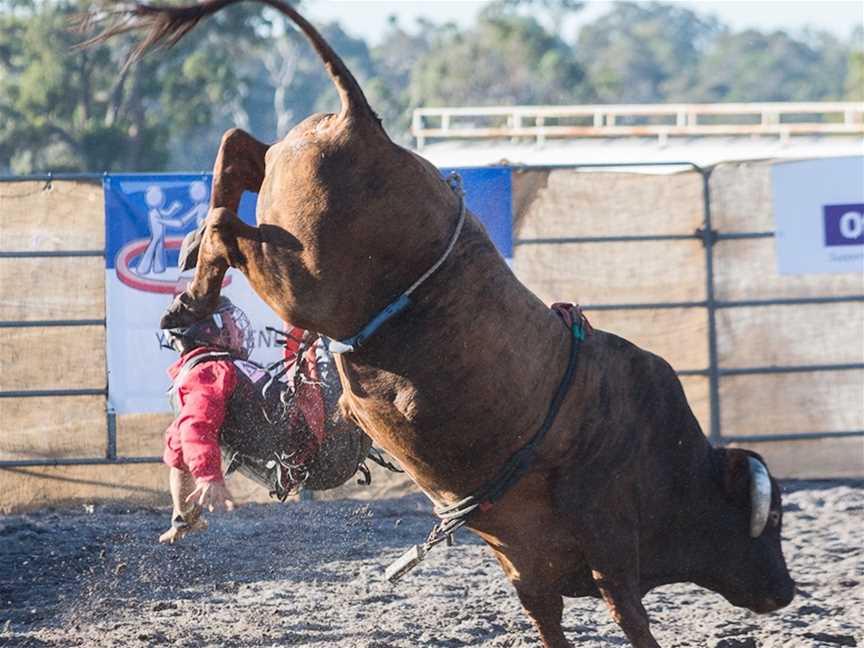 Bucking Bull & Rider at a Rodeo (Image courtesy of CODELIME PHOTOGRAPHY)