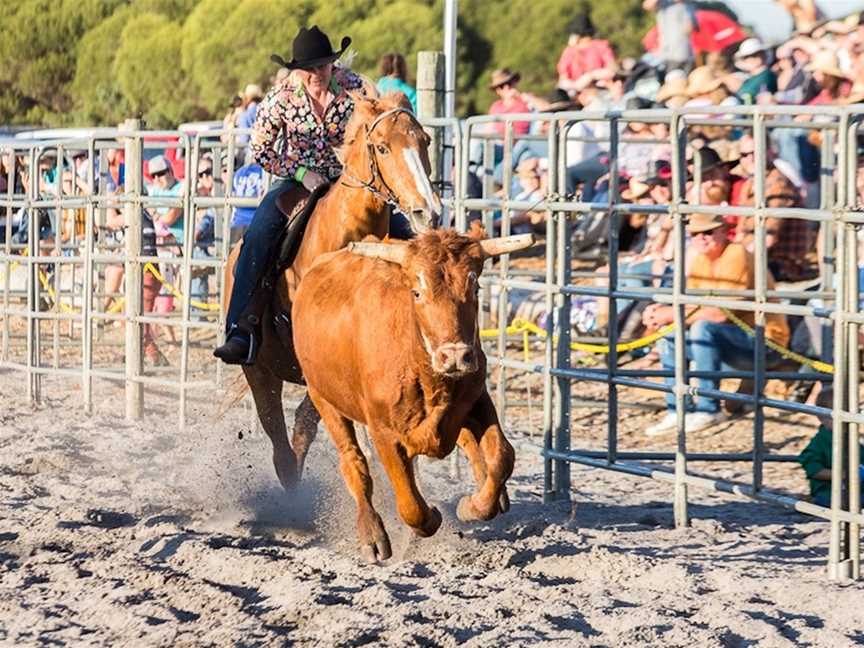 Steer Undercorating is a popular event at Rodeos (Image courtesy of CODELIME PHOTOGRAPHY)