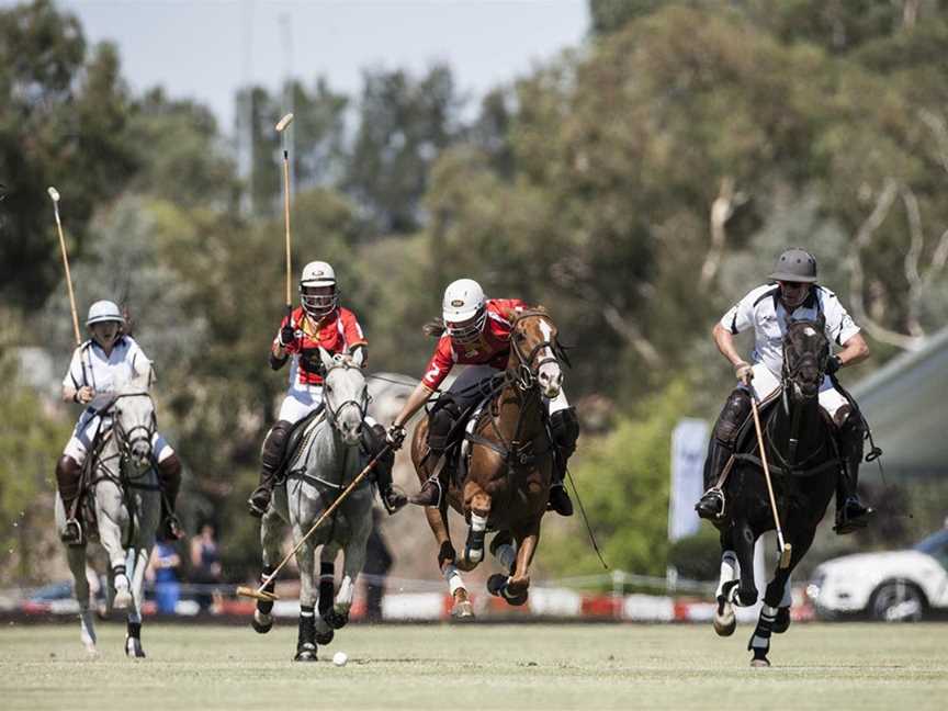 Bentley Polo in the Valley, Events in Middle Swan