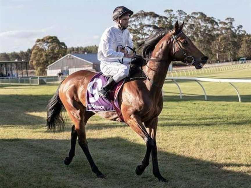 Grapes And Gallops, Events in Mount Barker