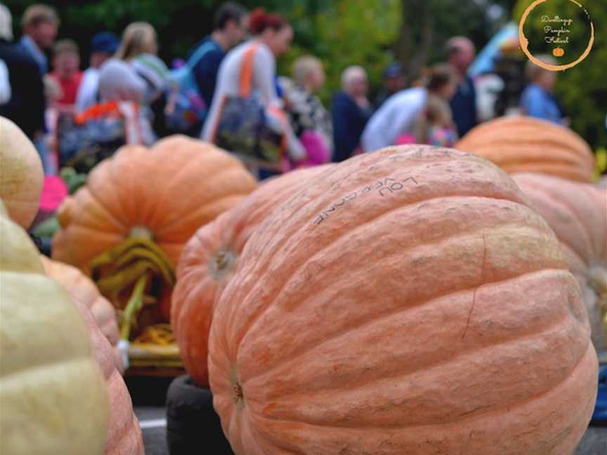 Dwellingup Pumpkin Festival, Events in Dwellingup