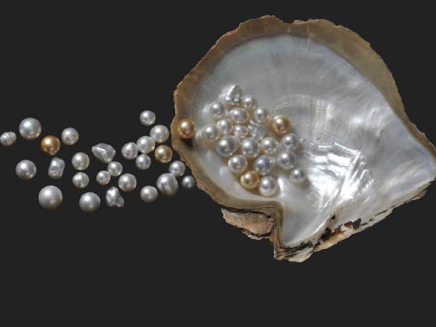 Lustre: Pearling & Australia At The Museum Of The Goldfields, Events in Kalgoorlie