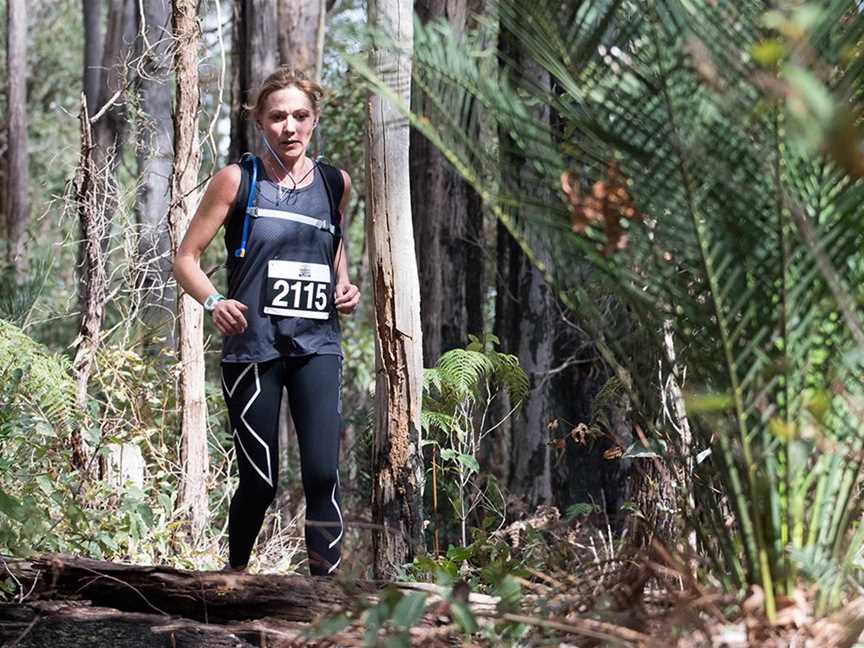 Mighty Jarrah Trail Run, Events in Dwellingup