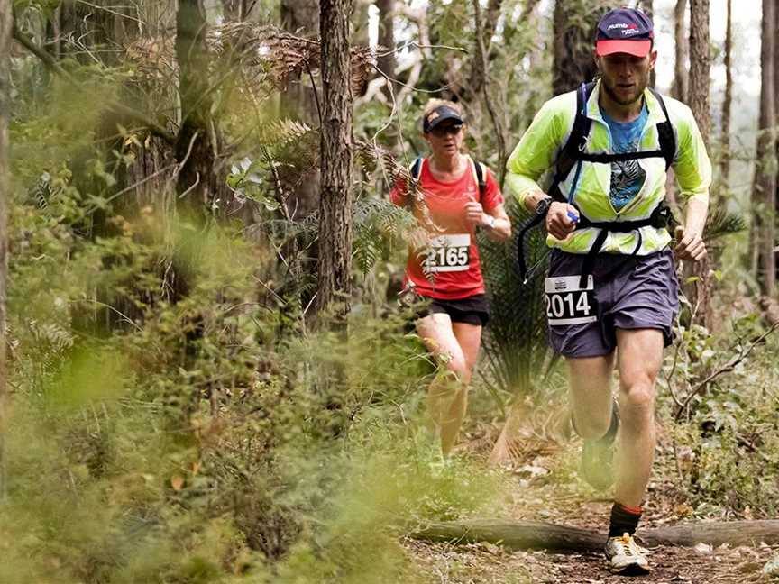 Mighty Jarrah Trail Run, Events in Dwellingup