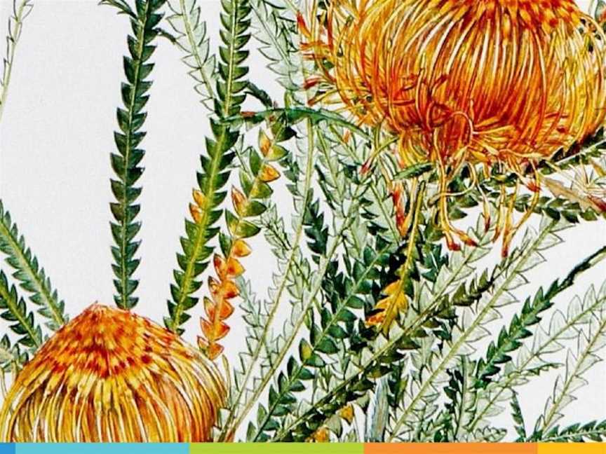 True To Nature: A Celebration Of Western Australia's Wildflowers, Events in Albany